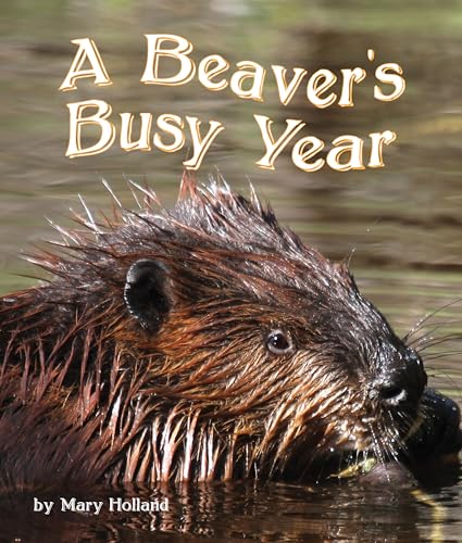 Beispielbild fr The Beavers' Busy Year zum Verkauf von Wonder Book