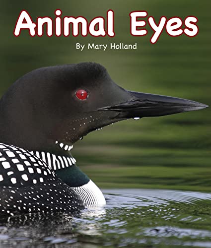 Stock image for Animal Eyes (Arbordale Collection) for sale by Wonder Book