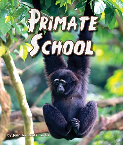 Beispielbild fr Primate School (Arbordale Collection) zum Verkauf von Wonder Book