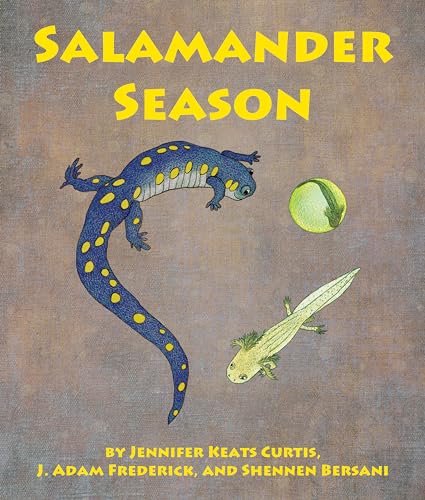 Stock image for Salamander Season (Arbordale Collection) for sale by Goodwill Books