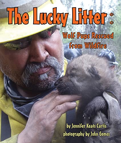 9781628557190: The Lucky Litter: Wolf Pups Rescued from Wildfire