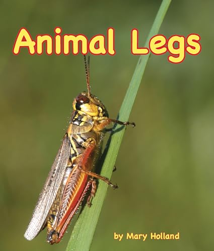 Beispielbild fr Animal Legs zum Verkauf von Better World Books