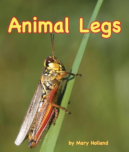 Stock image for Animal Legs for sale by Better World Books