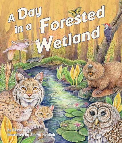 9781628559125: A Day in a Forested Wetland (Arbordale Collection)
