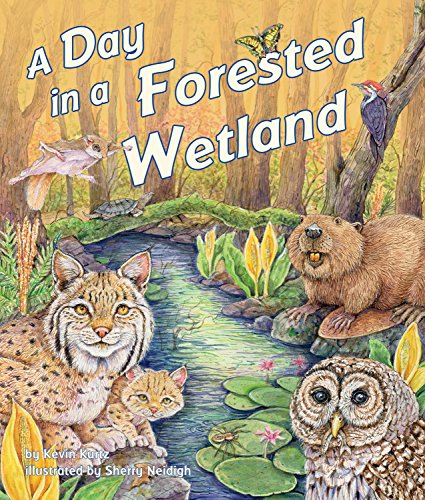 Stock image for A Day in a Forested Wetland for sale by ThriftBooks-Dallas