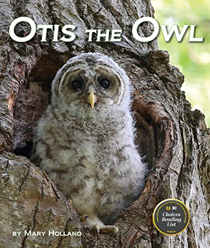 Beispielbild fr Otis the Owl zum Verkauf von Better World Books