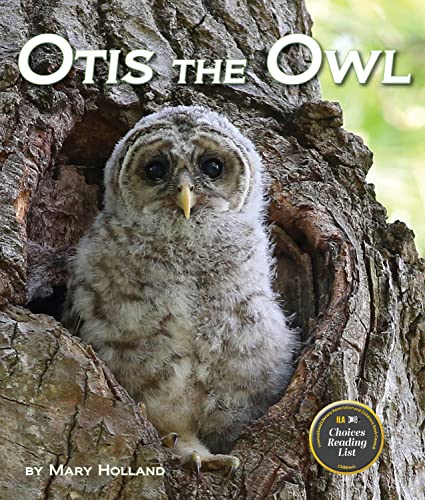 Stock image for Otis the Owl for sale by Better World Books