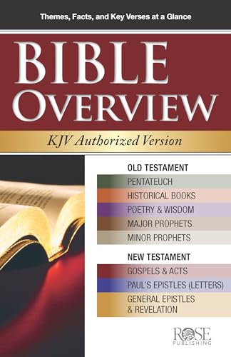 Imagen de archivo de Bible Overview KJV: King James Authorized Version a la venta por Lakeside Books