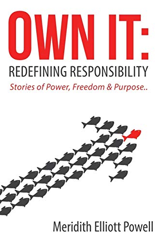 Beispielbild fr Own It: Redefining Responsibility zum Verkauf von ThriftBooks-Atlanta