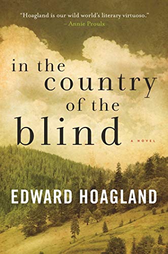 Stock image for In the Country of the Blind: A Novel for sale by SecondSale