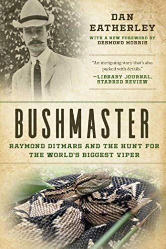 9781628727661: Bushmaster: Raymond Ditmars and the Hunt for the World's Largest Viper