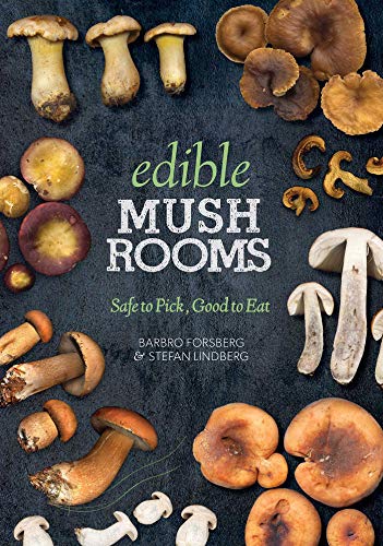 Stock image for Edible Mushrooms: Safe to Pick, Good to Eat for sale by Revaluation Books