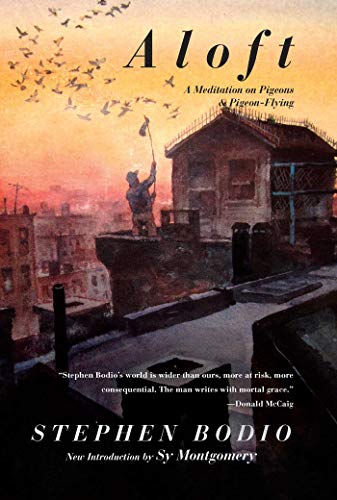 Imagen de archivo de Aloft: A Meditation on Pigeons & Pigeon-Flying a la venta por WorldofBooks