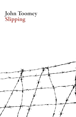 9781628971712: Slipping (Irish Literature Series)