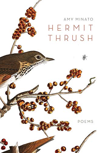 Stock image for Hermit Thrush for sale by HPB-Red