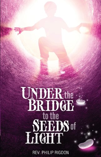 Stock image for Under the Bridge to the Seeds of Light for sale by HPB-Diamond