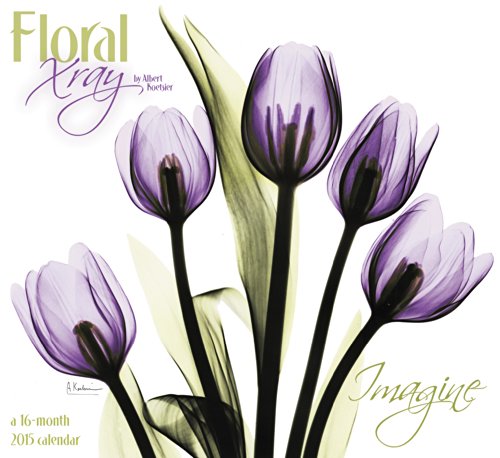 9781629050188: Floral Xray 2015 Calendar