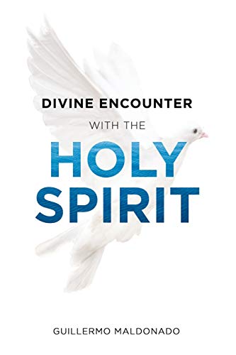 Imagen de archivo de Divine Encounter with the Holy Spirit a la venta por Hawking Books