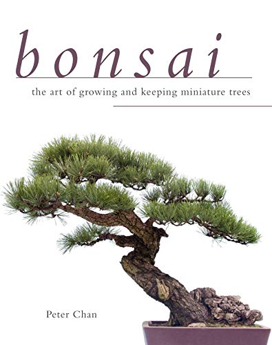 Stock image for Bonsai : The Art of Growing and Keeping Miniature Trees for sale by Better World Books