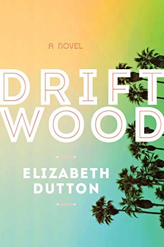 Imagen de archivo de Driftwood: A Novel a la venta por More Than Words
