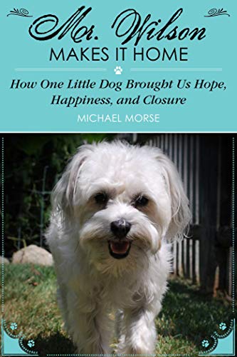 Imagen de archivo de Mr. Wilson Makes It Home : How One Little Dog Brought Us Hope, Happiness, and Closure a la venta por Better World Books