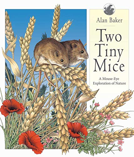 Beispielbild fr Two Tiny Mice : A Mouse-Eye Exploration of Nature zum Verkauf von Better World Books