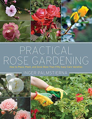 Stock image for Practical Rose Gardening: How to Place, Plant, and Grow More Than Fifty Easy-Care Varieties for sale by ZBK Books