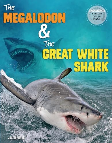Stock image for The Megalodon and the Great White Shark for sale by ThriftBooks-Dallas