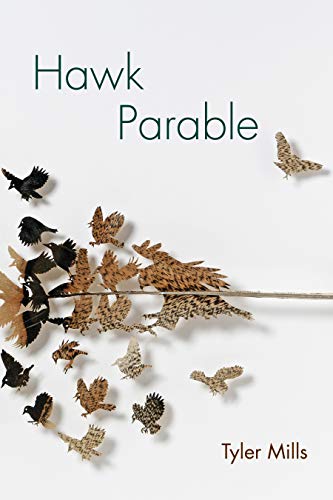 Beispielbild fr Hawk Parable zum Verkauf von Better World Books