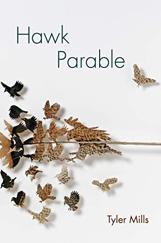 Stock image for Hawk Parable: Poems (Akron Series in Poetry) for sale by SecondSale