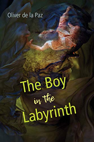 9781629221724: The Boy in the Labyrinth
