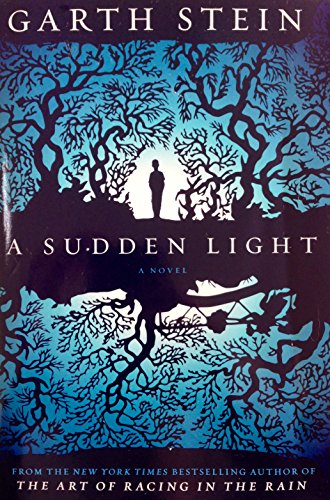 9781629531649: A Sudden Light[SUDDEN LIGHT][Hardcover]