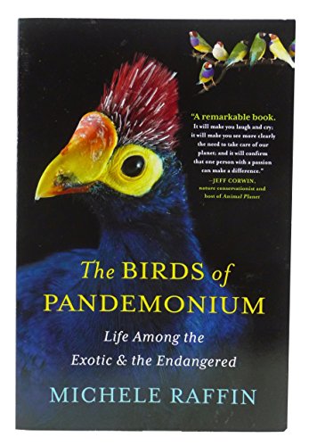 9781629535142: The Birds of Pandemonium