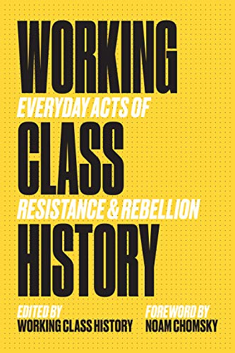 Imagen de archivo de Working Class History: Everyday Acts of Resistance and Rebellion a la venta por Kennys Bookstore