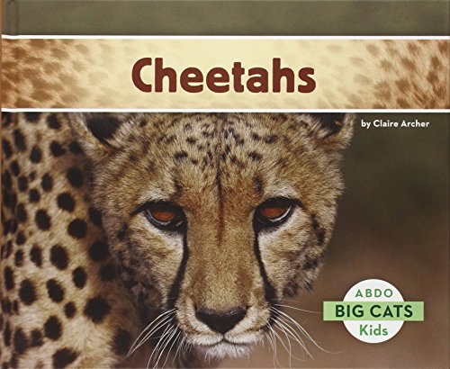 Imagen de archivo de Cheetahs a la venta por Better World Books