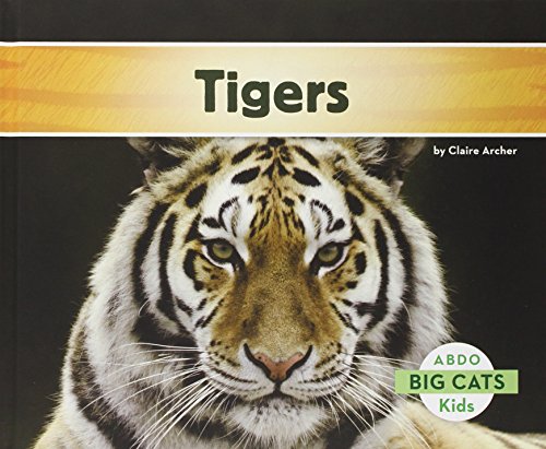 Imagen de archivo de Tigers a la venta por Better World Books