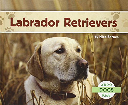 Stock image for Labrador Retrievers (Dogs (Abdo Kids)) for sale by SecondSale