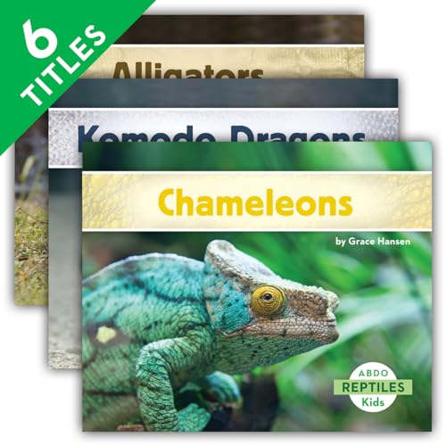 9781629700564: Reptiles Set: Alligators / Chameleons / Iguanas / Komodo Dragons / Snakes / Turtles