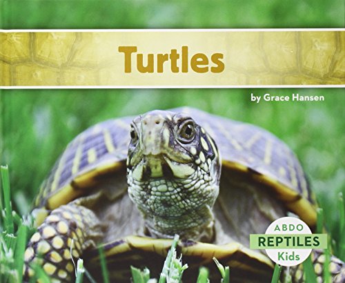 9781629700625: Turtles