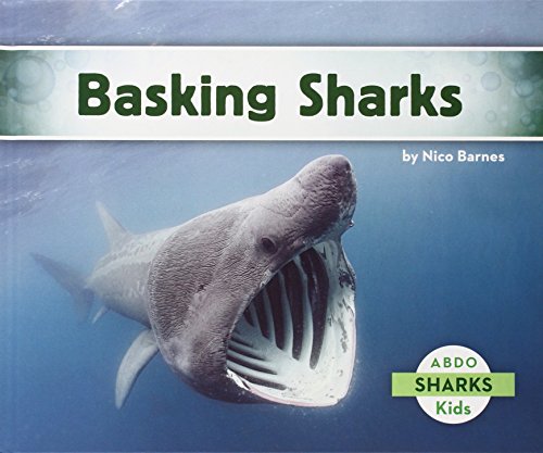 9781629700649: Basking Sharks (Sharks (Abdo Kids))