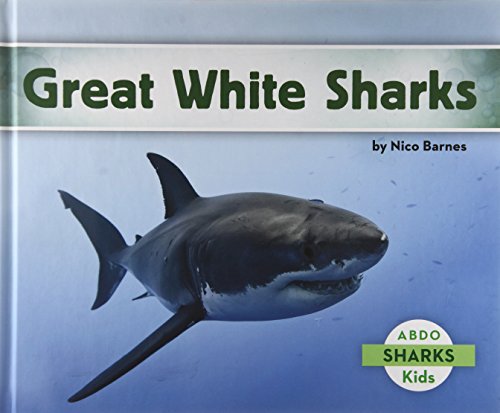 Imagen de archivo de Great White Sharks a la venta por ThriftBooks-Atlanta