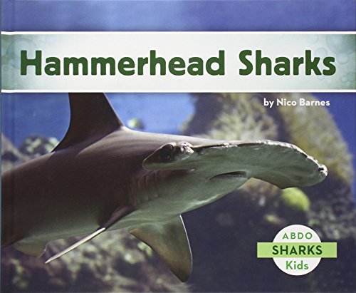 Imagen de archivo de Hammerhead Sharks a la venta por ThriftBooks-Atlanta
