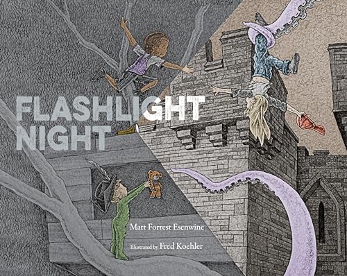 Beispielbild fr Flashlight Night zum Verkauf von Better World Books: West