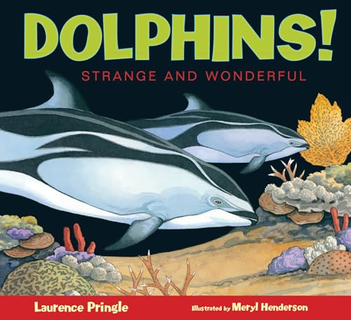 Imagen de archivo de Dolphins! a la venta por Better World Books