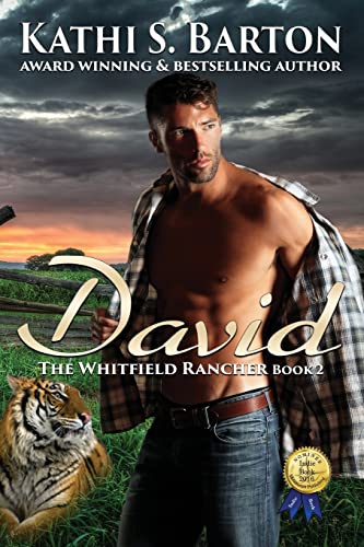 Imagen de archivo de David: The Whitfield Rancher (Volume 2) a la venta por Wonder Book