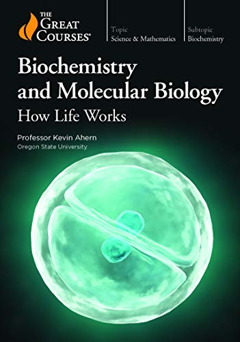 Beispielbild fr Biochemistry and Molecular Biology: How Life Works zum Verkauf von BooksRun