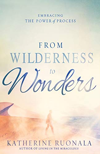 Beispielbild fr From Wilderness to Wonders: Embracing the Power of Process zum Verkauf von BooksRun
