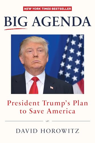 Stock image for Big Agenda: President Trump?'s Plan to Save America for sale by SecondSale
