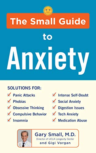 Beispielbild fr The Small Guide to Anxiety zum Verkauf von Better World Books