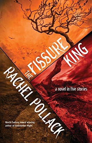 Beispielbild fr The Fissure King: A Novel in Five Stories zum Verkauf von AwesomeBooks